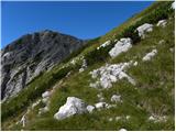 Planina Polog - Vrh Škrli